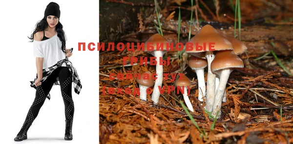 скорость mdpv Бронницы