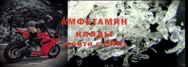 соль ск Тайга