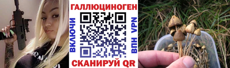 Псилоцибиновые грибы ЛСД  Кодинск 